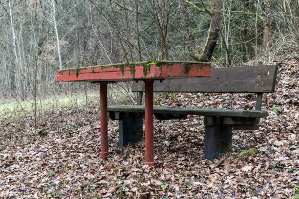 istock Bench with a red tabe at the edge of a forest 916808792
