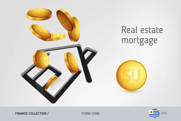 istock House icon with flying Uruguayan Peso coins, finance concept. Vector illustration for print, websites, web design, mobile app, infographics. 916811194