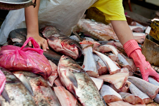 istock fish, market in Asia 916811544