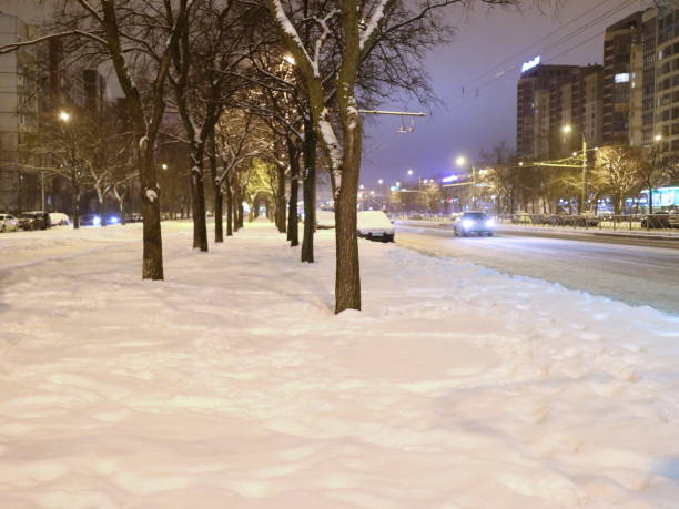 istock snow-covered avenue by the road 916812304