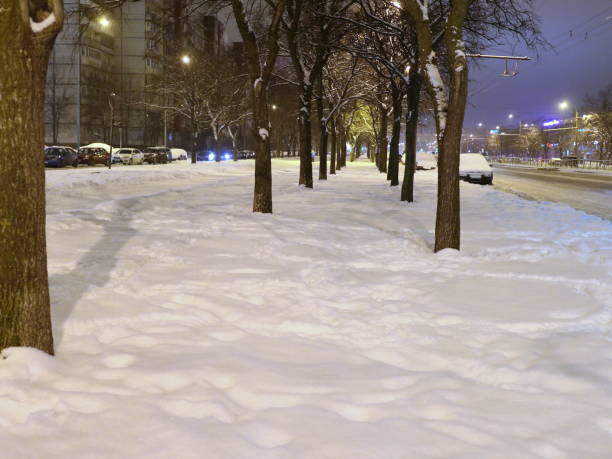 istock snow-covered avenue by the road 916812374