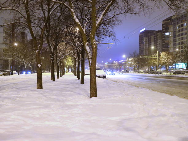 istock snow-covered avenue by the road 916812386