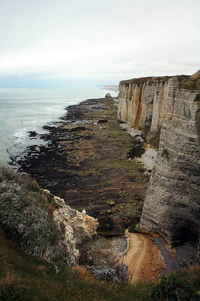 penhascos em etretat-normandie, frança - scarped - fotografias e filmes do acervo