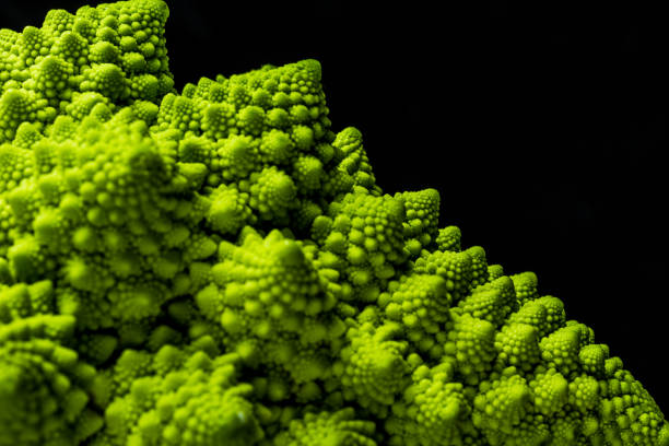 istock Closeup of fresh romanesco cauliflower isolated on white background 916829572