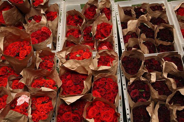 Roses wholesale stock photo