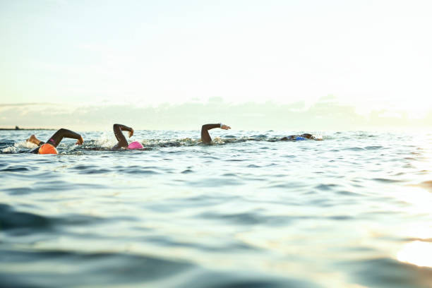 istock Determined women swimming in sea during sunset 916830450