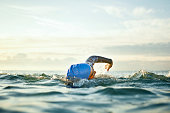 istock Determined woman swimming in sea 916830480