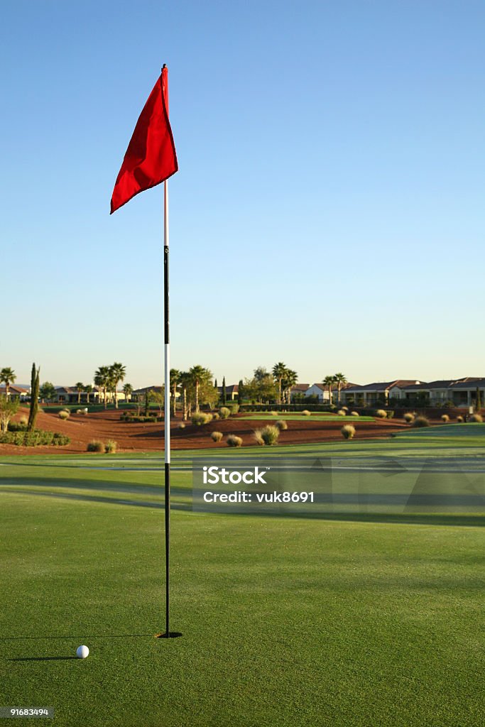 골프 코스 내용-휘닉스-USA - 로열티 프리 골프깃발 스톡 사진