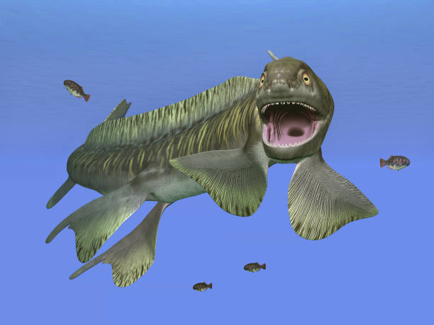 istock Prehistoric shark Orthacanthus 916835592