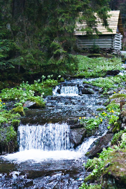 istock A small waterfall. Mountain river in the Carpathians. 916837148