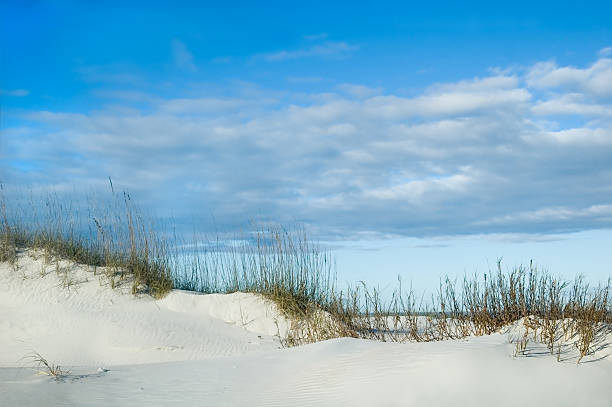 모래 사구 리지 - southern usa sand textured photography 뉴스 사진 이미지