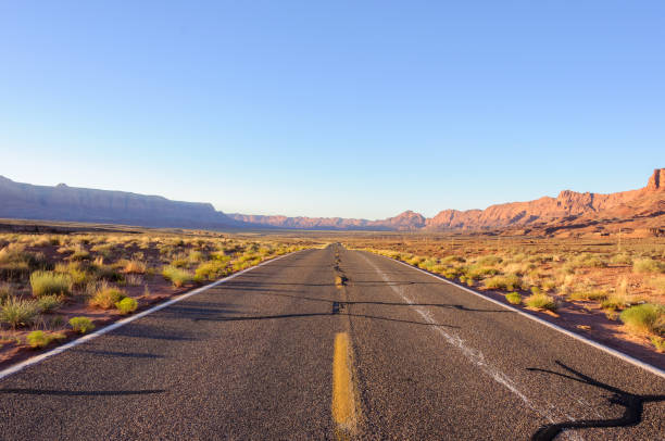 istock Desert road in Arizona, USA 916841334