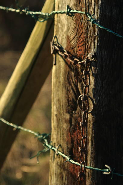 istock Wooden poles and rusty barbed wire 916844012