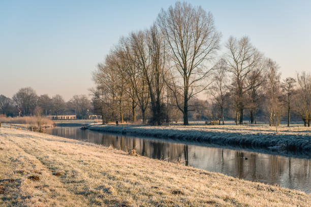 istock Dutch landscape in wintertime 916844090