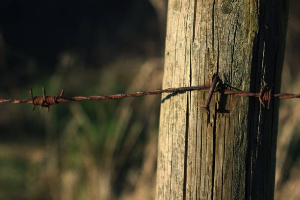 Wooden poles and rusty barbed wire as a fence around a meadow