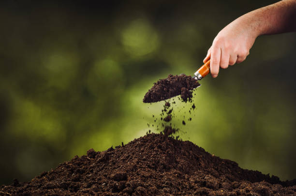 istock Hand pouring black soil on green plant bokeh background 916851384