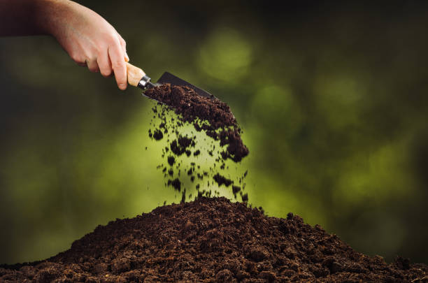 istock Hand pouring black soil on green plant bokeh background 916851420
