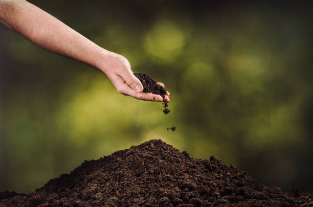 istock Hand pouring black soil on green plant bokeh background 916851438