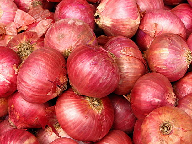 Red Onions stock photo