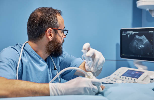 Vet performing an ultrasound scan on dog