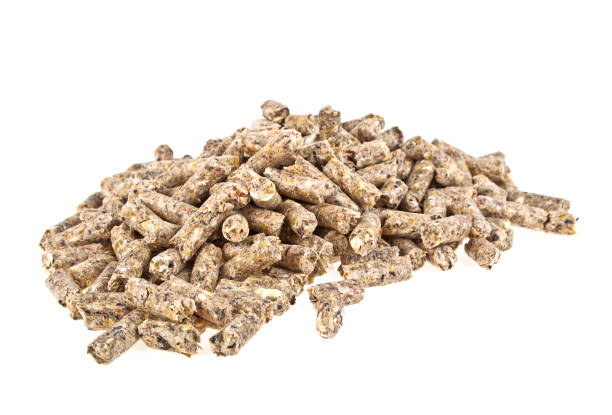 istock Pelleted compound feed Isolated on white background, wheatfeed pellets 916857700