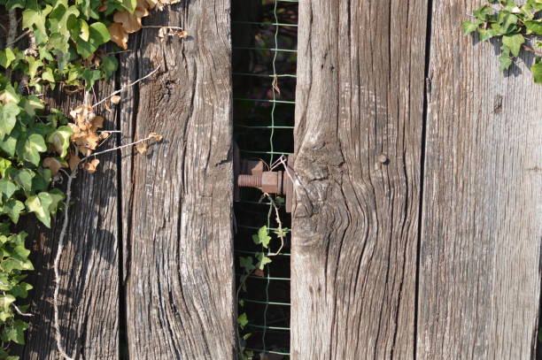 istock Zoom on an old wooden fence 916858784