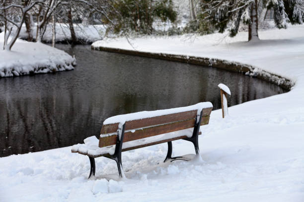 istock Bench by the river covered with snow 916859402