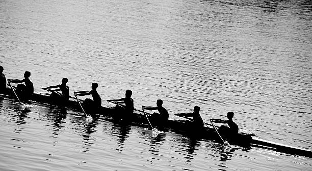 Crew  rowing stock pictures, royalty-free photos & images