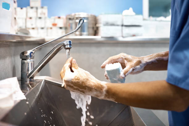 veterinarian washing hands with soap at sink - hand hygiene imagens e fotografias de stock