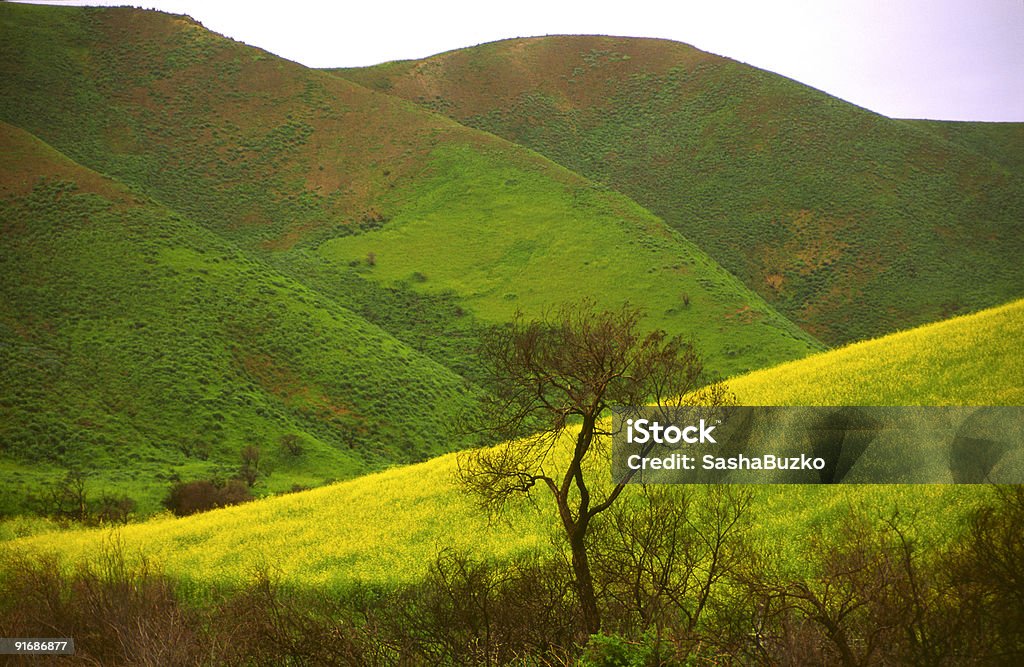 Spring in the hills of Southern California  Scenics - Nature Stock Photo