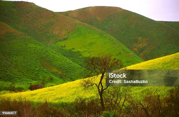 Spring In The Hills Of Southern California Stock Photo - Download Image Now - Scenics - Nature, Ventura County, California