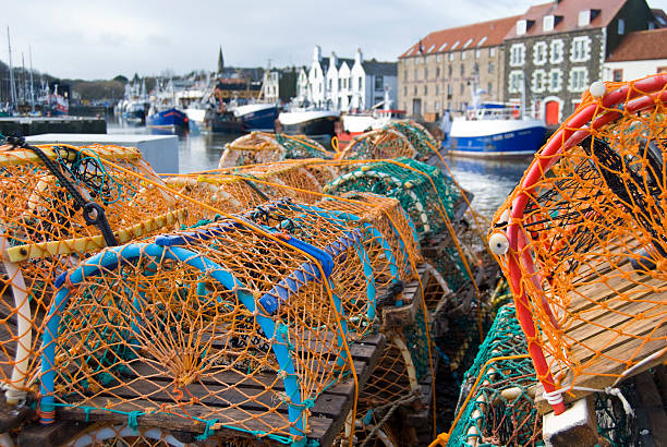 Lobster pots on Seahouses quayside, Northumberland