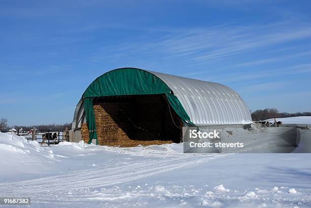 Hay Quonset Na Neve - Fotografias de stock e mais imagens de Lona - Objeto manufaturado - Lona - Objeto manufaturado, Celeiro, Feno