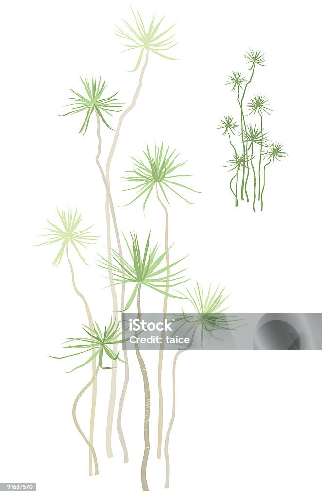 Plante tropicale - Illustration de Arbre libre de droits