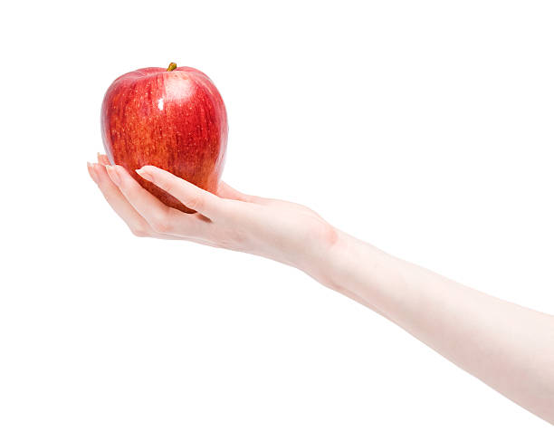 istock Woman hand holding red apple 91687779