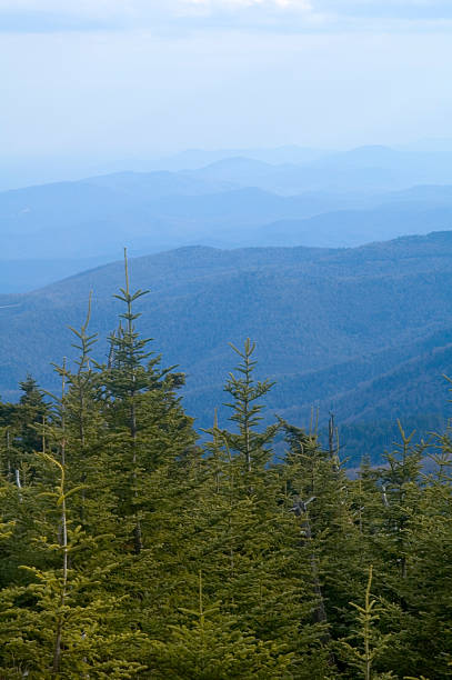 catena montuosa del blue ridge - blue ridge mountains autumn great smoky mountains tree foto e immagini stock