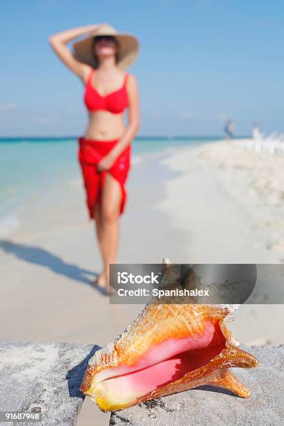 Das Leben Ist Ein Strand Conch Stockfoto und mehr Bilder von Fechterschnecke - Fechterschnecke, Menschen, Tritonshorn - Meeresmuschel