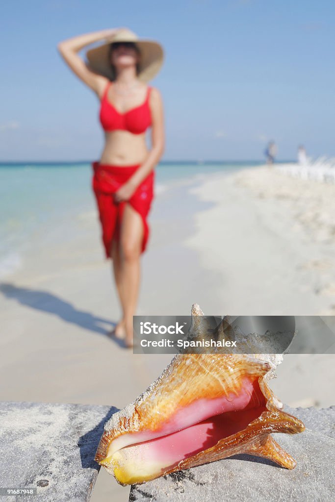 La vie est une plage (Conque - Photo de Conque libre de droits