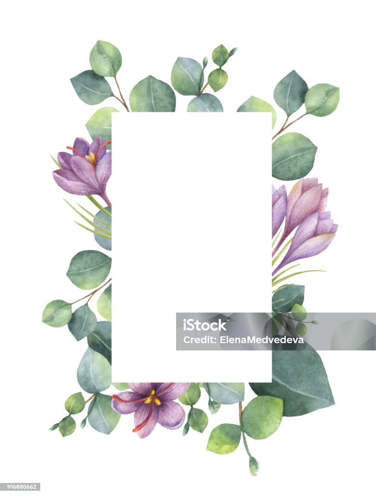 Tarjeta floral de vector acuarela verde con hojas de eucalipto, flores de color púrpura y las ramas aisladas sobre fondo blanco. - arte vectorial de Flor libre de derechos