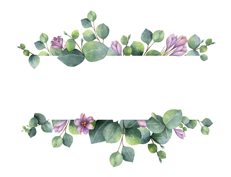Watercolor vector wreath with green eucalyptus leaves, purple flowers and branches. Spring or summer flowers for invitation, wedding or greeting cards.