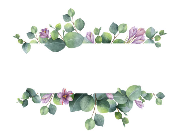 Watercolor vector wreath with green eucalyptus leaves, purple flowers and branches. Watercolor vector wreath with green eucalyptus leaves, purple flowers and branches. Spring or summer flowers for invitation, wedding or greeting cards. violet flower stock illustrations