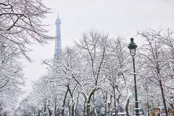 istock Scenic view of Eiffel tower on snowy day 916884922