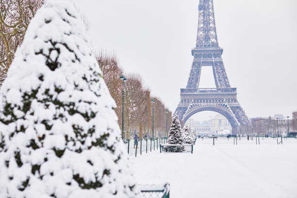 istock Scenic view of Eiffel tower on snowy day 916885290