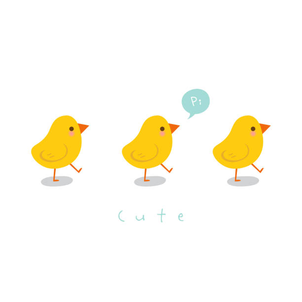 ilustraciones, imágenes clip art, dibujos animados e iconos de stock de lindos pollitos. tarjeta de felicitación - young bird illustrations