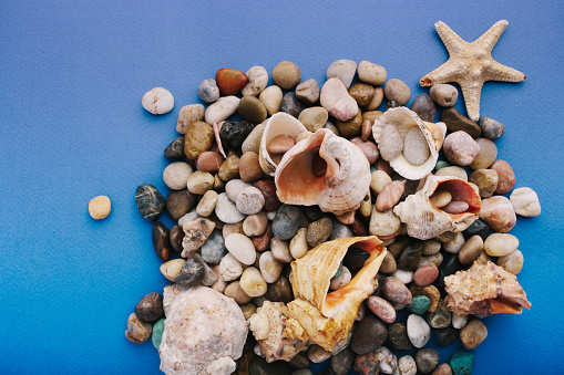 still life with starfish, heart shaped pebble and shells