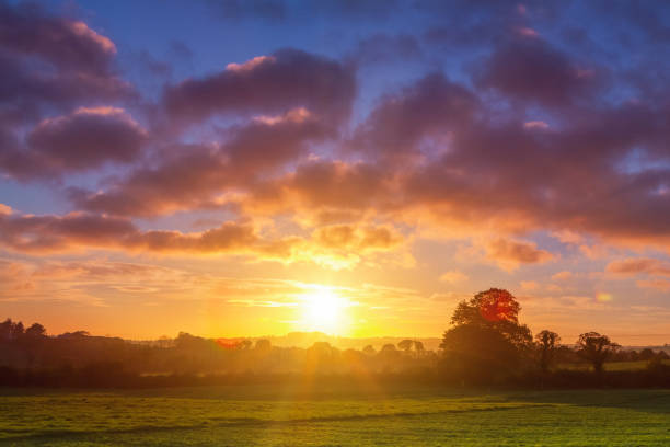 istock Countryside in Ireland at sunset 916890250