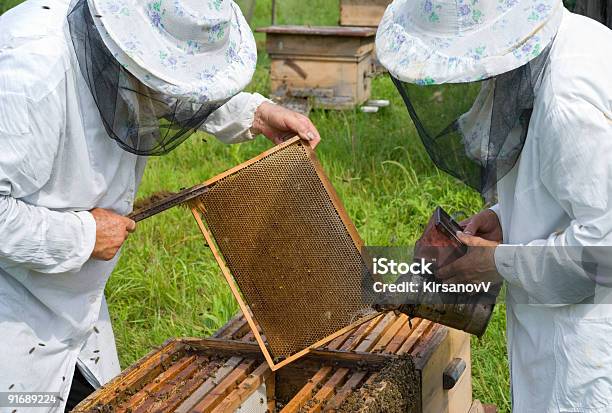 Foto de Apicultores e mais fotos de stock de Duas pessoas - Duas pessoas, Colmeia, Apicultor