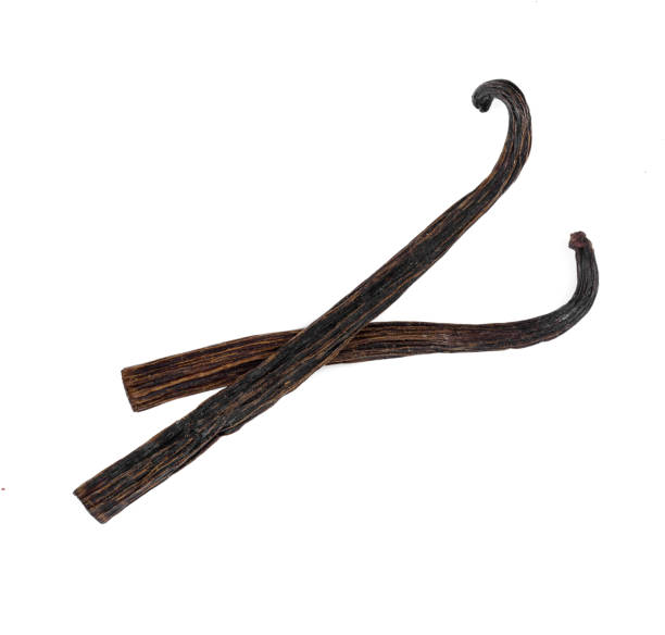 istock Two vanilla pods isolated on white 916892740
