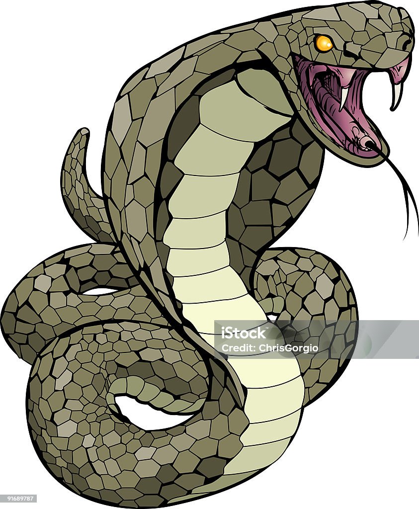 Cobra Cobra prestes a atacar ilustração - Royalty-free Naja Ilustração de stock