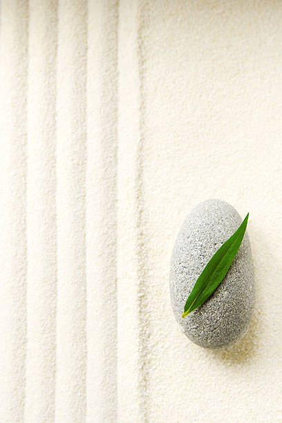 istock Zen garden with single gray pebble and leaf 91690160